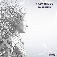 Beat Junky - Polar Mind