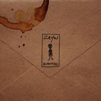 Zayn - Alienated
