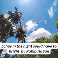 Rakib Hasan - Echoes in the Night Should Have to Bright
