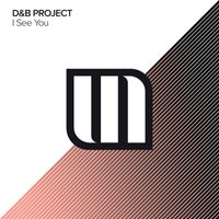 D&B PROJECT - I See You
