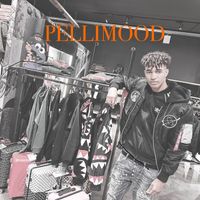 Peter - Pellimood