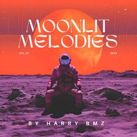 harry bmz - Moonlit Melodies Lo-Fi