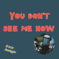 DJ Jester DonnJuggler - You Don't See Me Now