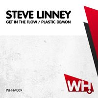 Steve Linney - Get In The Flow - Plastic Demon