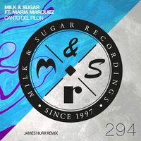 Milk & Sugar feat. Maria Marquez - Canto del Pilon (James Hurr Remix)