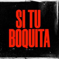 Tosca - Si Tu Boquita (Remix) (Explicit)