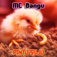 MC Bangu - Pinto Sujo