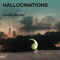 Gemini Barker - Hallucinations