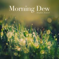 Stefan Zintel - Morning Dew