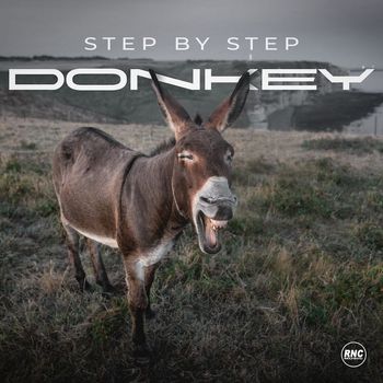 Step By Step - Donkey