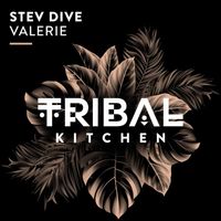 Stev Dive - Valerie