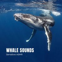 Sensitive ASMR - Whale Sounds
