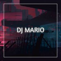 DJ Mario - DJ She Doesn't Mind -Inst