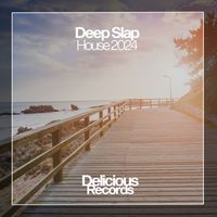 Various Artists - Deep Slap House 2024