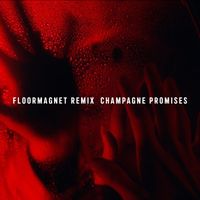 Animal - Champange Promises (Floormagnet Remix)
