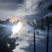 DanMan - VibeRockStar