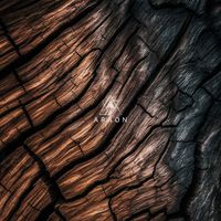 ARAON - Woodland Vibes