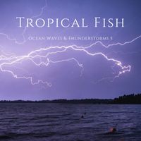 Tropical Fish - Ocean Waves & Thunderstorms 5