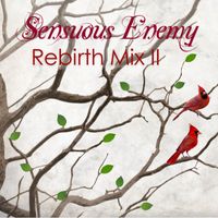 Sensuous Enemy - Rebirth Mix 2