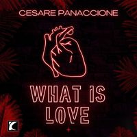 Cesare Panaccione - What Is Love