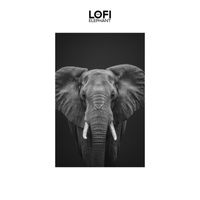 Lofi Kong featuring The Pineapple Lofi Lounge - Gentle Garden Gaze