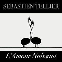 Sébastien Tellier - L'amour naissant