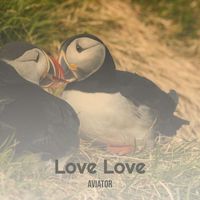 Aviator - Love Love