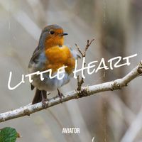 Aviator - Little Heart