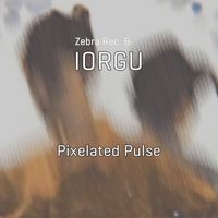 Zebra Rec., Iorgu - Pixelated Pulse