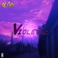 RG Flow - Violetas