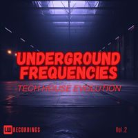 Various Artists - Underground Frequencies: Tech-House Evolution, Vol. 02