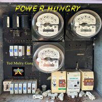 Ted Mulry Gang - Power Hungry