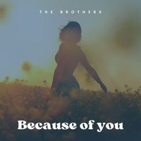 The Brothers - Because of You