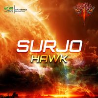 Hawk - Surjo
