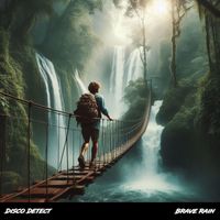 Disco Detect - Brave Rain