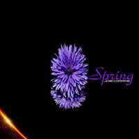 Josh Grape - Spring