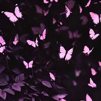 RAMZEY - Butterflies (Explicit)