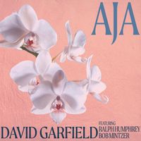 David Garfield - Aja (Hybrid Version)