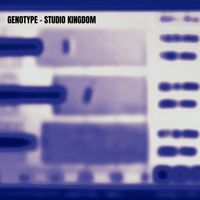 Genotype - Studio Kingdom