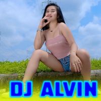 DJ Alvin - DJ FEEL ONLY LOVE AMDI MUSIC