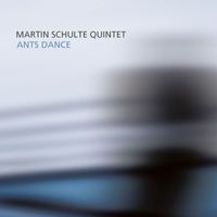 Martin Schulte - Ants Dance