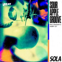 Riaz Dhanani & Harry Ley - Sour Apple Groove