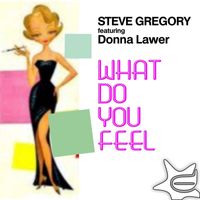 Steve Gregory Featuring Donna Lawer - What Do You Feel