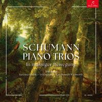 Trio Ilona - Schumann: Piano Trio No. 2 in F Major, Op. 80: III. In mässiger Bewegung