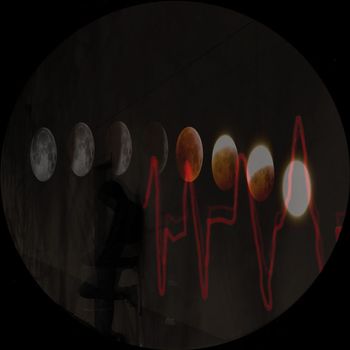 Tim Angrave - Pulse