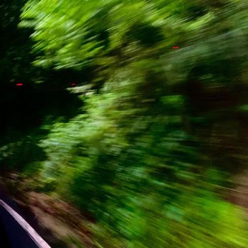 Beaumont - andorinha