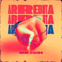 Mc Rd and DJ Paulo Mix - Arrebita (Explicit)