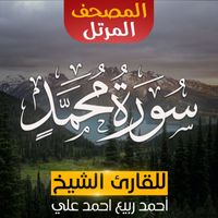 الشيخ - أحمد ربيع احمد على - سورة محمد