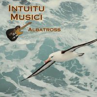 Intuitu Musici - Albatross