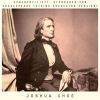 Joshua Choe - Schubert/Liszt: Ständchen Von Shakespeare (String Orchestra Version)